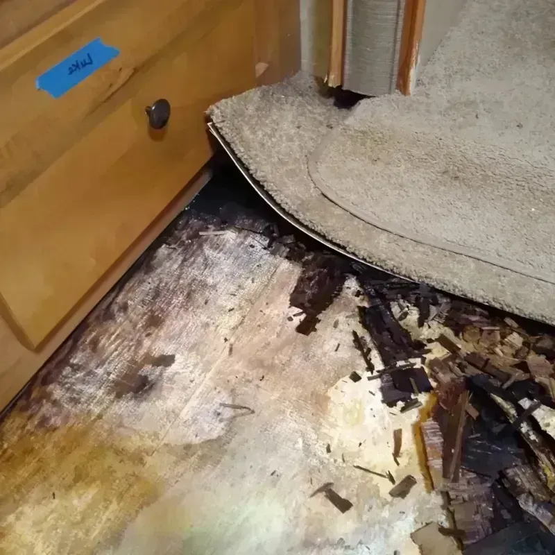 Best Wood Floor Water Damage Service in Claysburg, PA